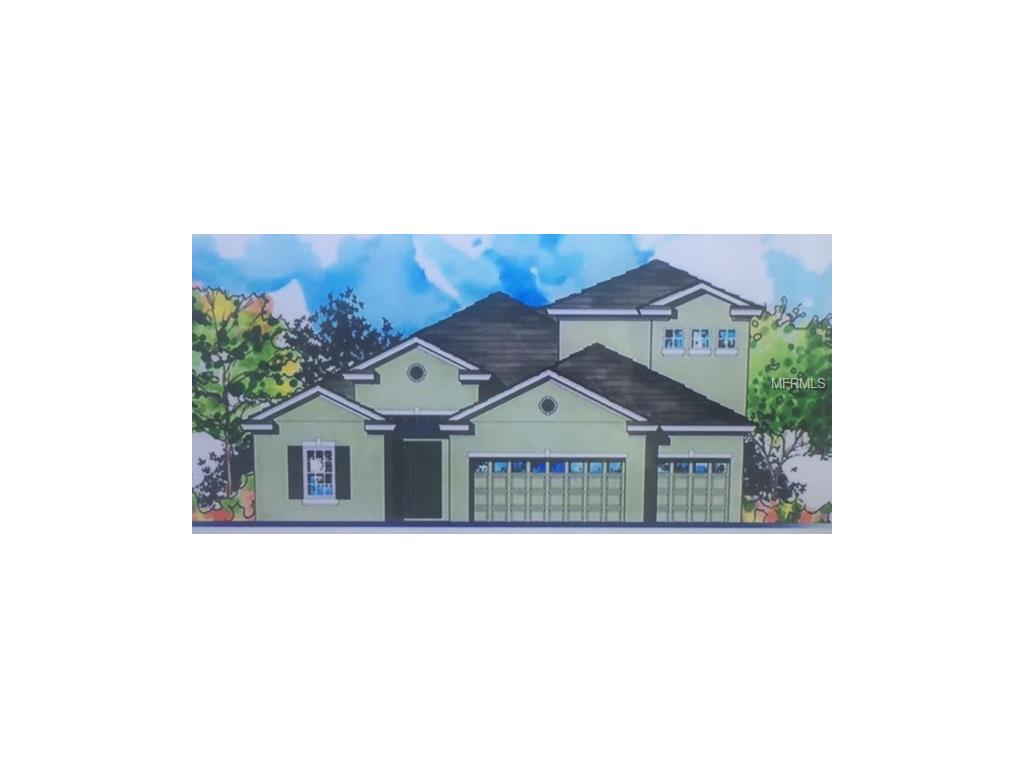 5935 Circa Fishhawk Blvd, Lithia, FL 33547 photo 1