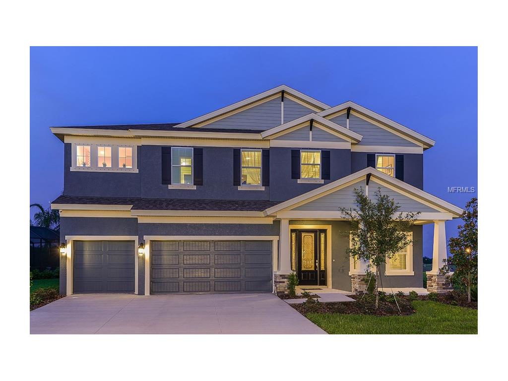 14316 Blue Hydrangea Ct, Lithia, FL 33547 photo 1