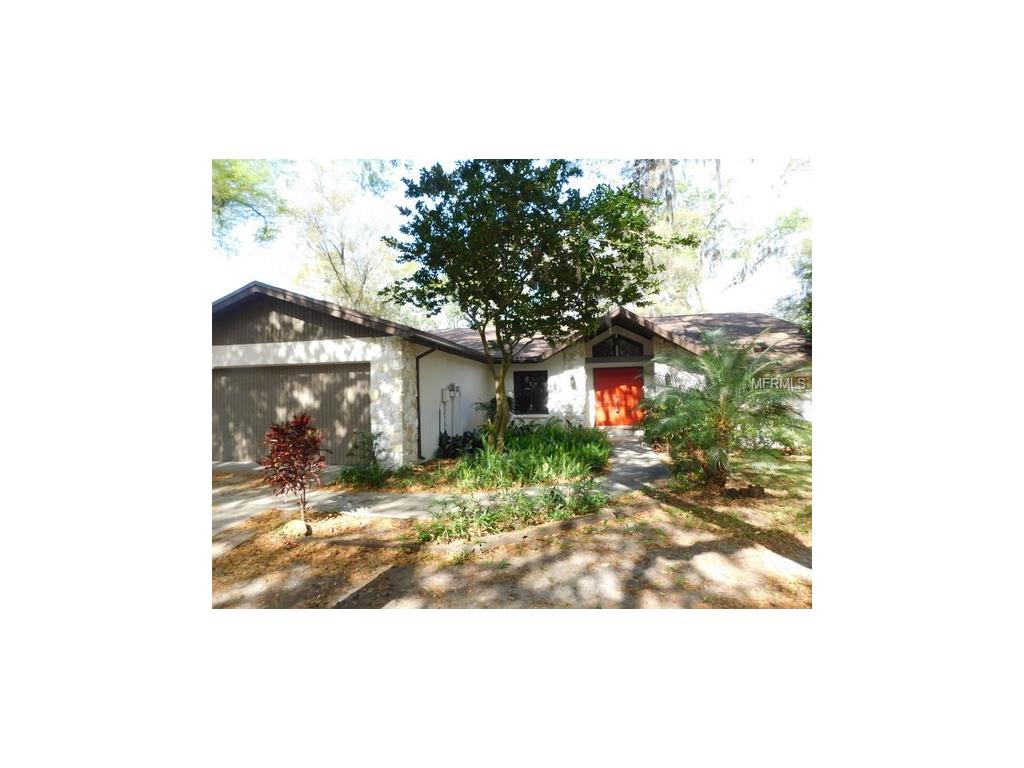 3903 Buttonwood Ct, Brandon, FL 33511 photo 1