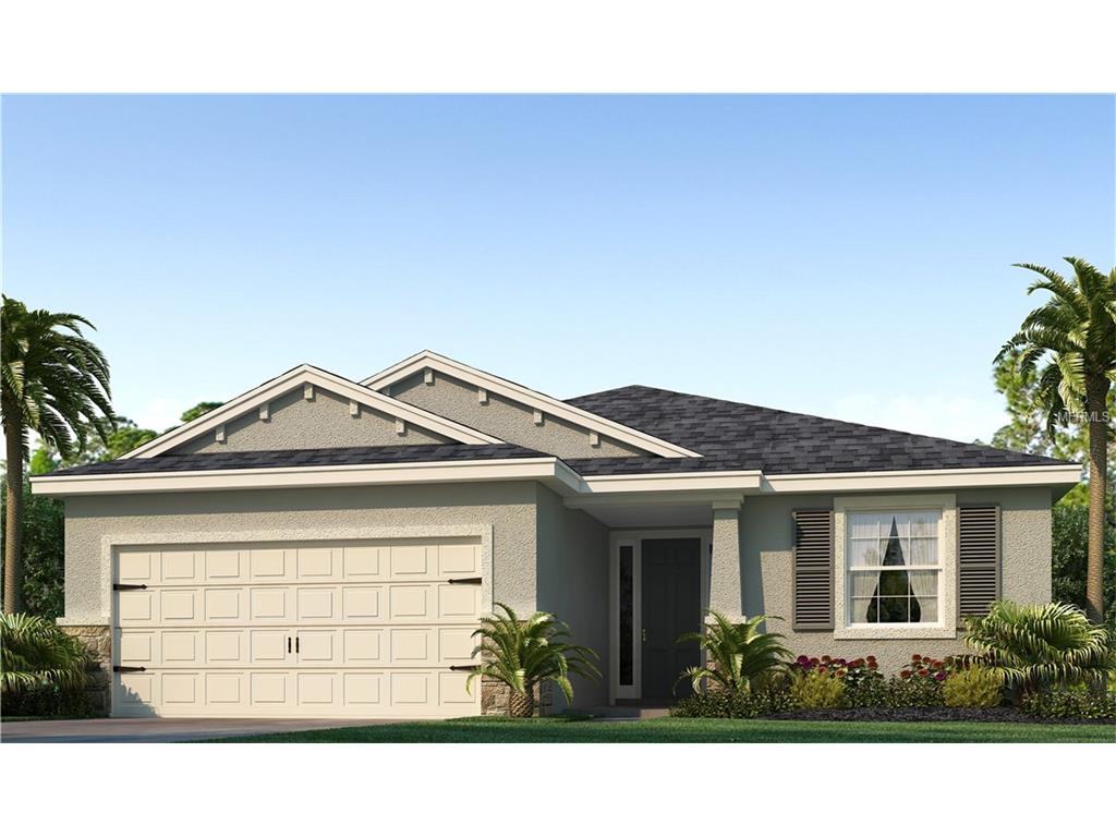 6308 Lantern View Pl, Apollo Beach, FL 33572 photo 1
