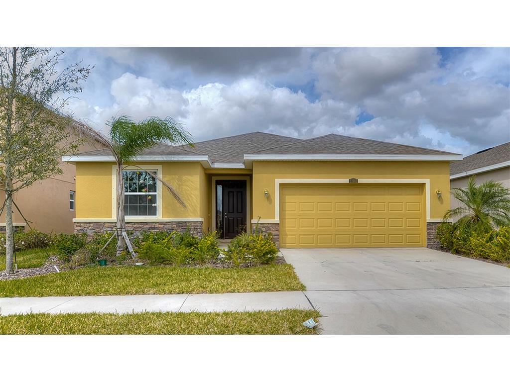 11409 Warren Oaks Pl, Riverview, FL 33578 photo 1