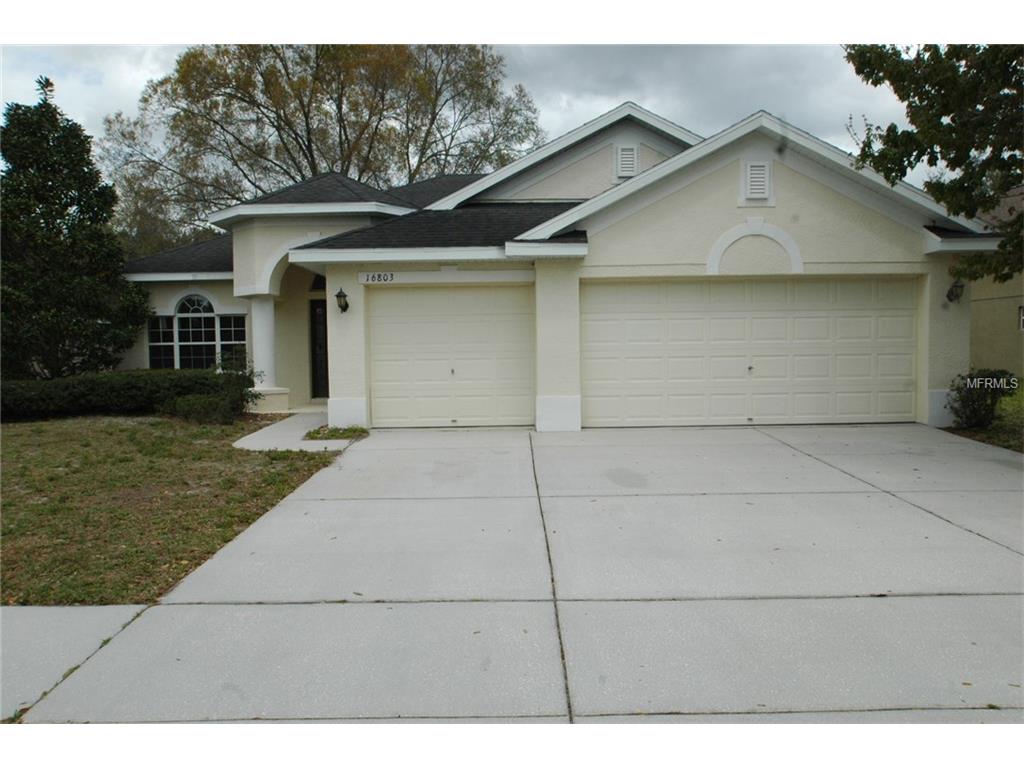 16803 Midsummer Ln, Spring Hill, FL 34610 photo 1