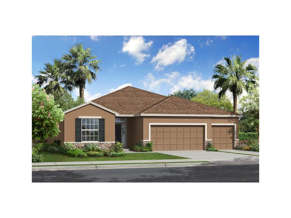 10416 Pleasant Spring Way, Riverview, FL 33578 photo 1