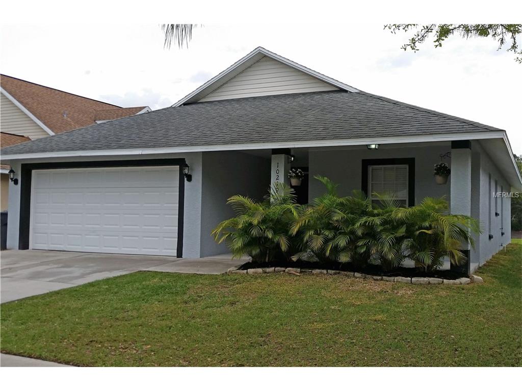 10219 Summerview Cir, Riverview, FL 33578 photo 1