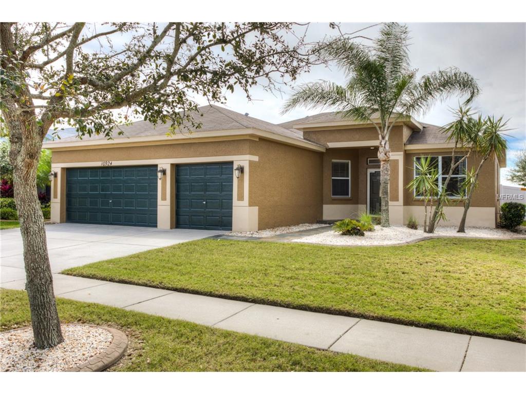 10924 Holly Cone Dr, Riverview, FL 33569 photo 1