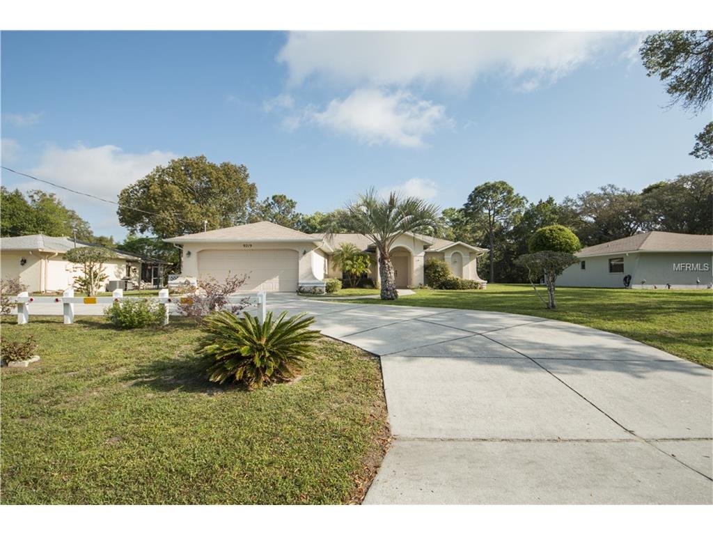 9219 Brady St, Spring Hill, FL 34608 photo 1