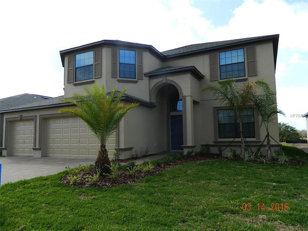 10029 Celtic Ash Dr, Ruskin, FL 33573 photo 1