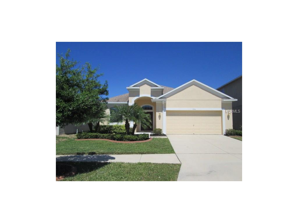 7316 Forest Mere Dr, Riverview, FL 33578 photo 1