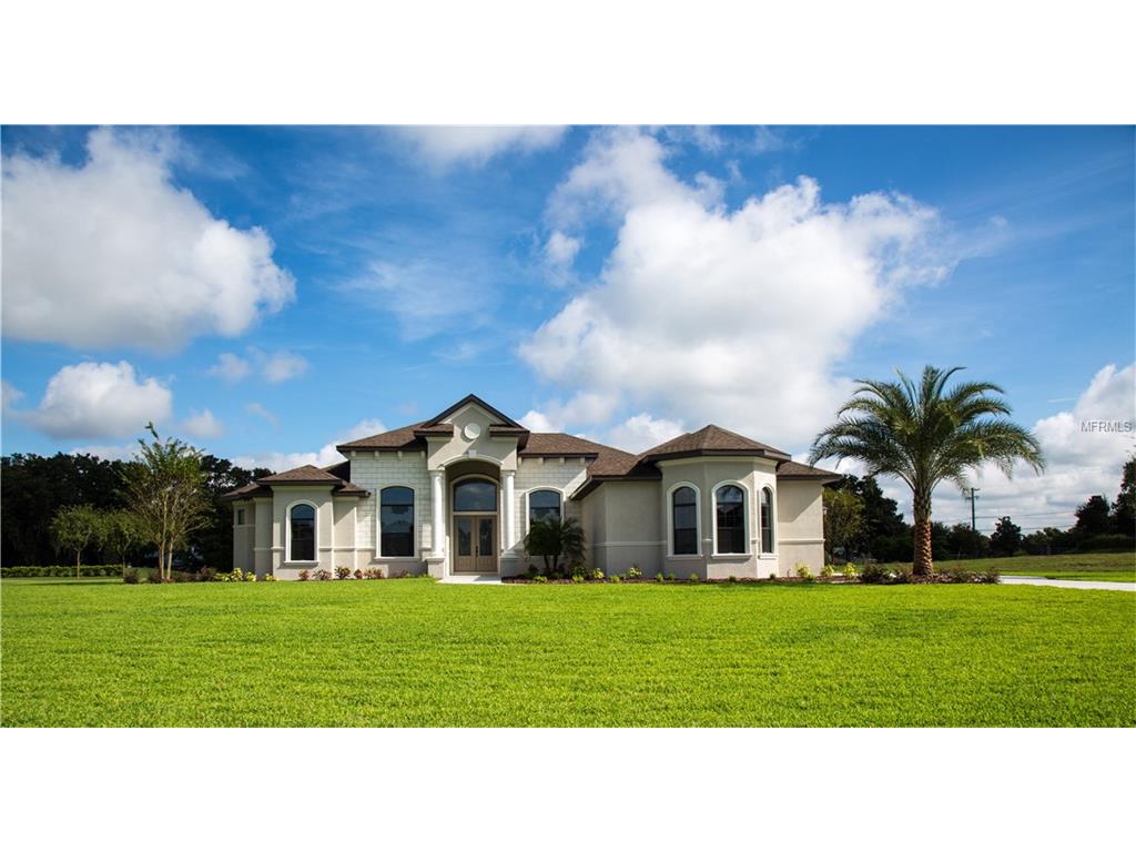 110 Hawk Talon Dr, Lithia, FL 33547 photo 1