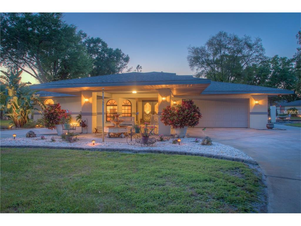 18510 Turtle Dr, Lutz, FL 33548 photo 1