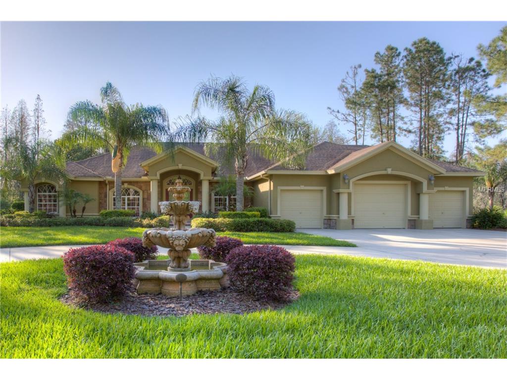 406 Pine Bluff Dr, Lutz, FL 33549 photo 1
