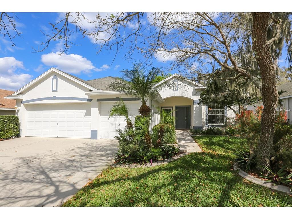11124 Bridgecreek Dr, Riverview, FL 33569 photo 1