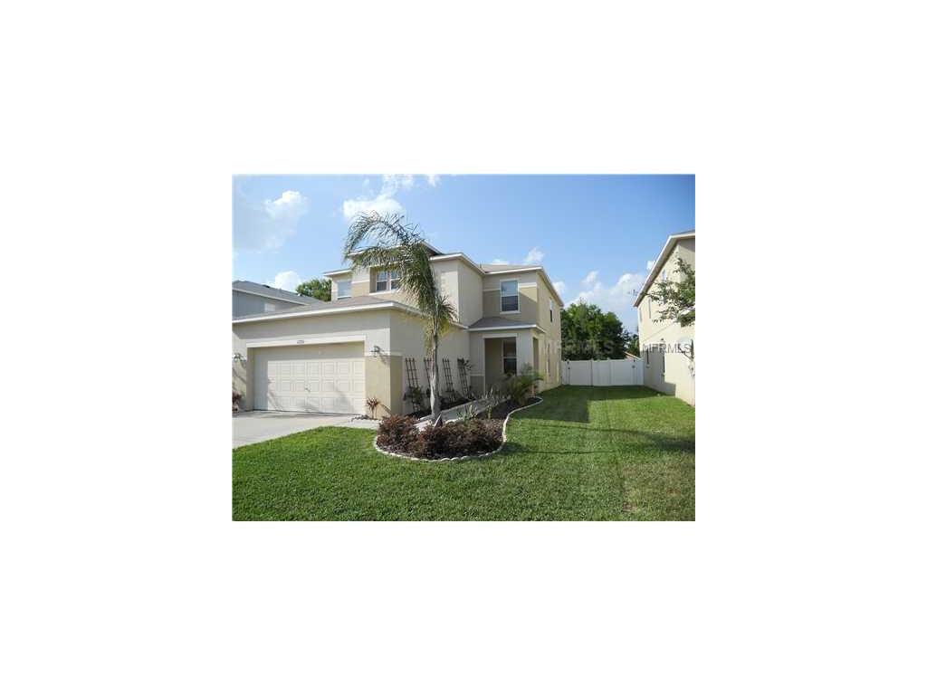11230 Black Forest Trl, Riverview, FL 33569 photo 1