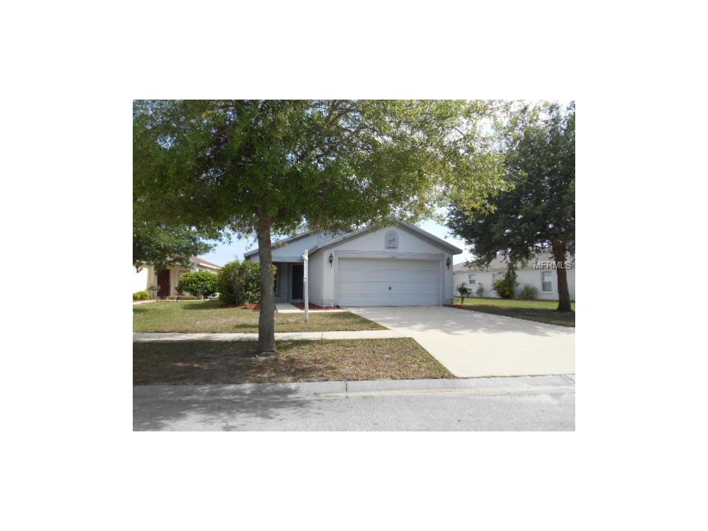 11225 Summer Star Dr, Riverview, FL 33579 photo 1