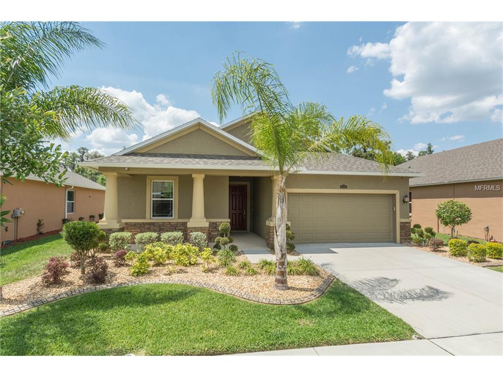 3921 Pacente Loop, Wesley Chapel, FL 33543 photo 1