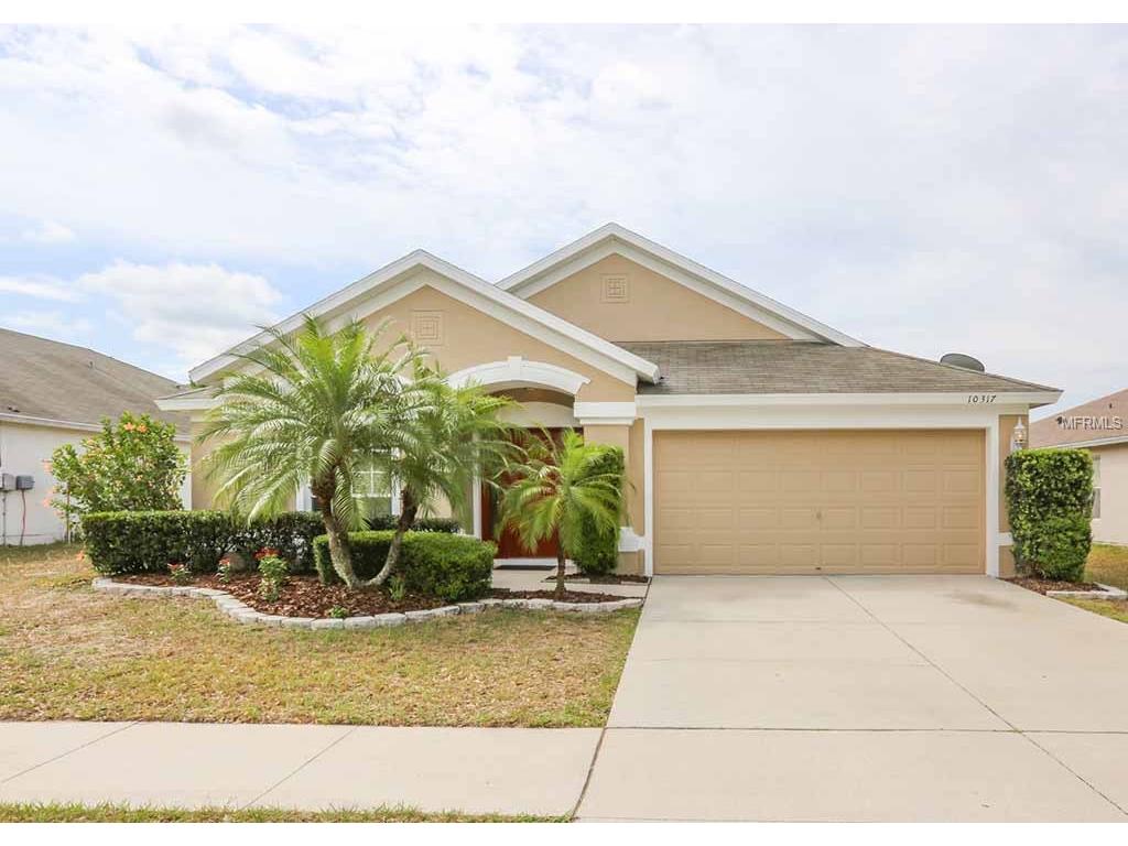10317 Soaring Eagle Dr, Riverview, FL 33578 photo 1