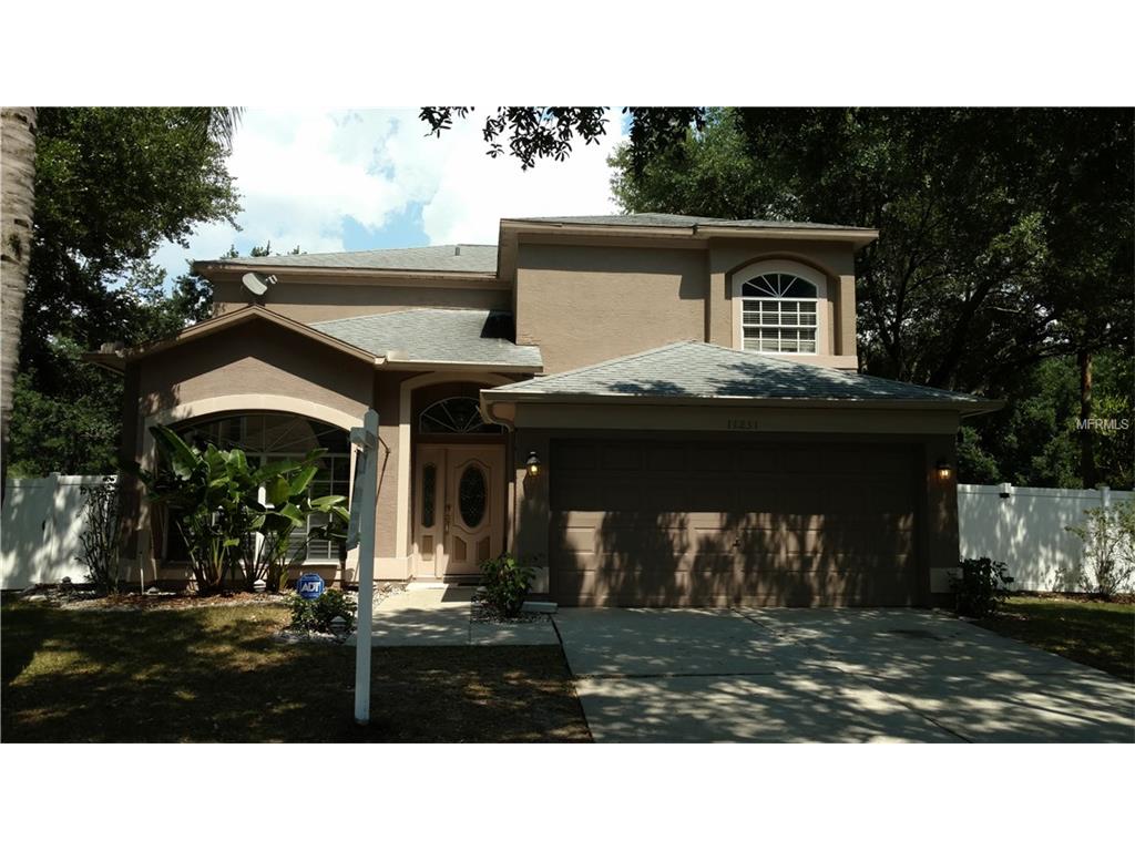 11231 Longbrooke Dr, Riverview, FL 33579 photo 1