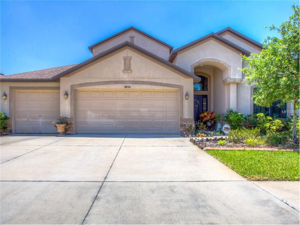 8430 White Poplar Dr, Riverview, FL 33578 photo 1