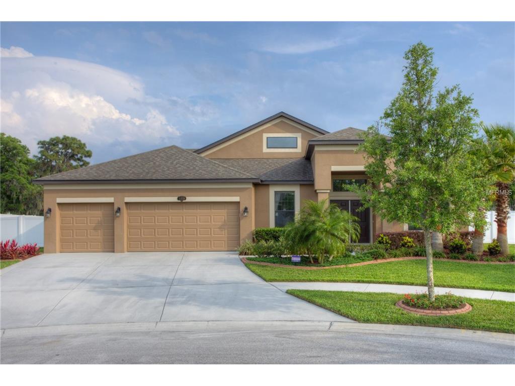 11926 Harpswell Dr, Riverview, FL 33579 photo 1