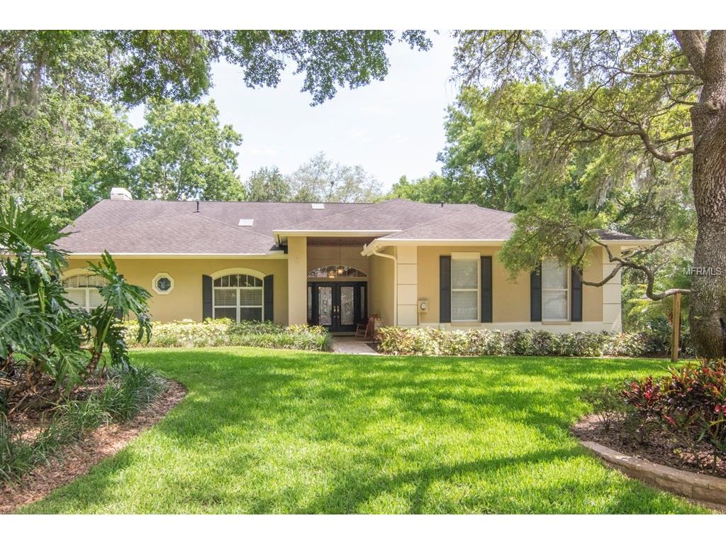 8914 Eagle Watch Dr, Riverview, FL 33578 photo 1
