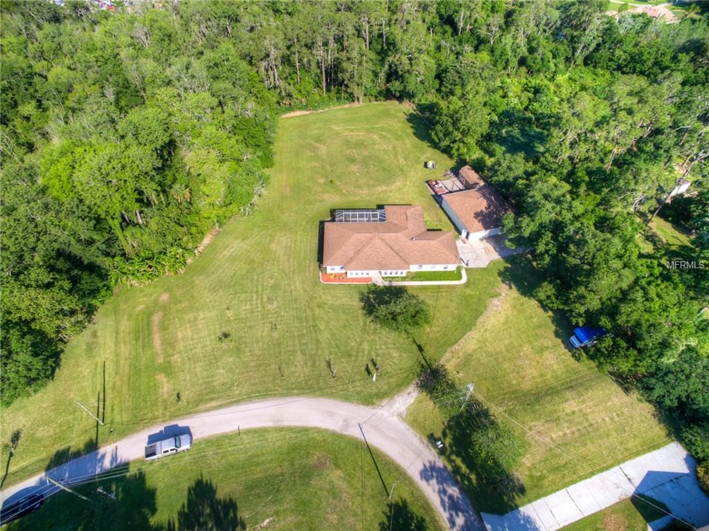 3226 Wheeler Ct, Dover, FL 33527 photo 1