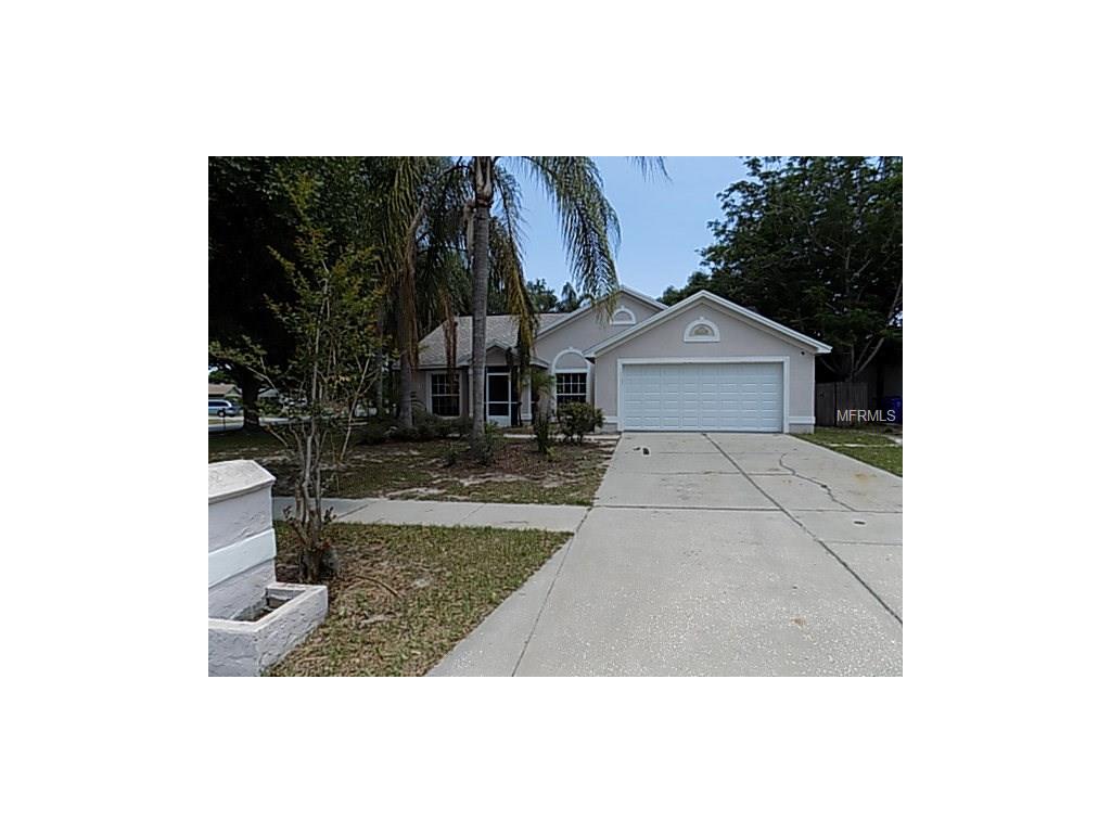 10302 Salisbury St, Riverview, FL 33569 photo 1