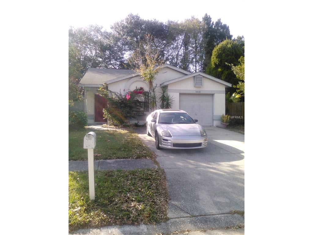 13428 Laraway Dr, Riverview, FL 33579 photo 1