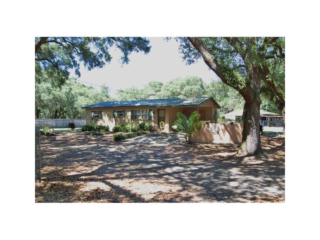 6235 Williams Rd, Seffner, FL 33584 photo 1