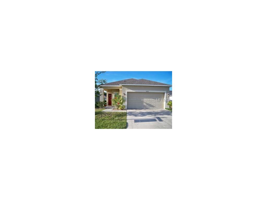 8204 Midnight Sun Ct, Riverview, FL 33578 photo 1