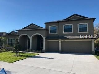 5014 Jagged Cloud Dr, Wimauma, FL 33598 photo 1