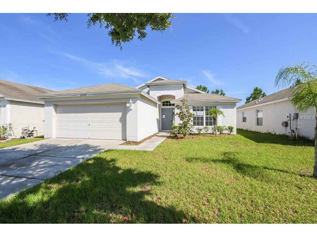 13239 Evening Sunset Ln, Riverview, FL 33579 photo 1
