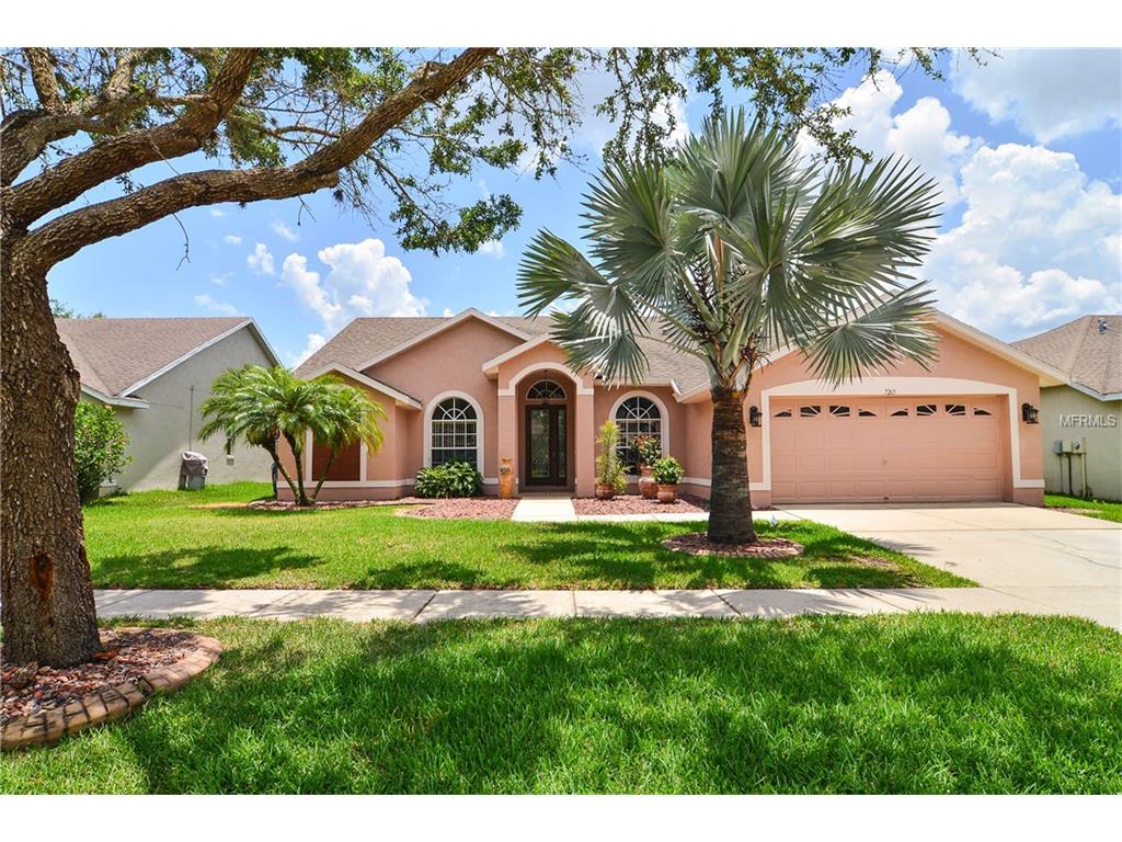 7265 Bucks Ford Dr, Riverview, FL 33578 photo 1
