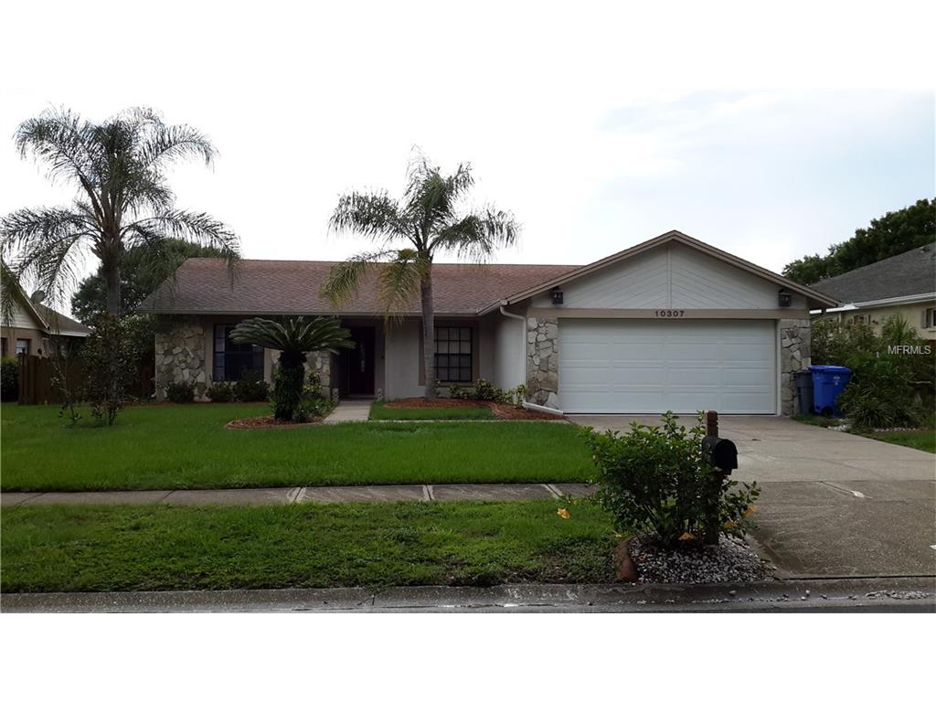 10307 Sedgebrook Pl, Riverview, FL 33569 photo 1