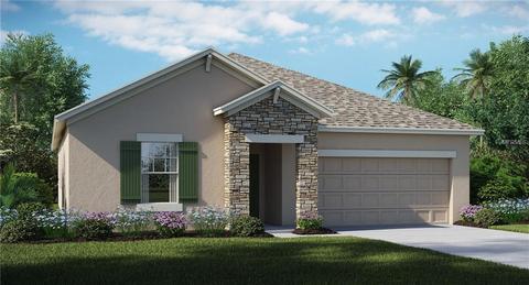 11805 Twilight Darner Pl, Riverview, FL 33569 photo 1