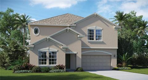 14270 Blue Dasher Dr, Riverview, FL 33569 photo 1