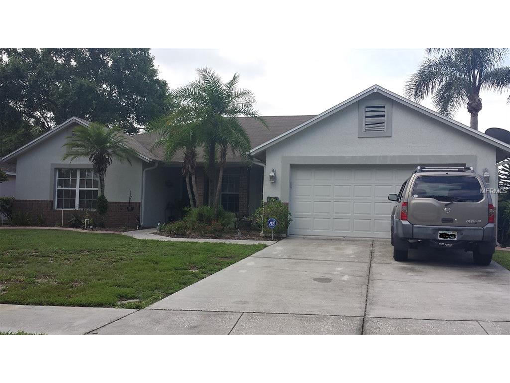 11610 Wellman Dr, Riverview, FL 33578 photo 1