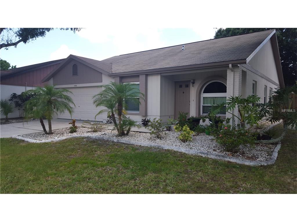 11305 Plumtree Ct, Riverview, FL 33579 photo 1