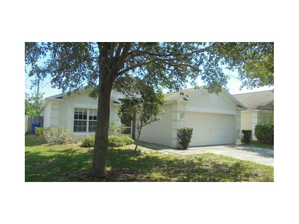 13256 Early Run Ln, Riverview, FL 33578 photo 1
