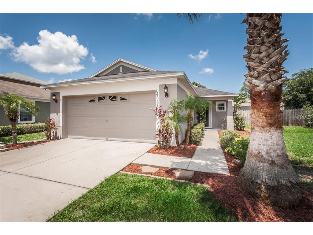 12732 Adventure Dr, Riverview, FL 33579 photo 1