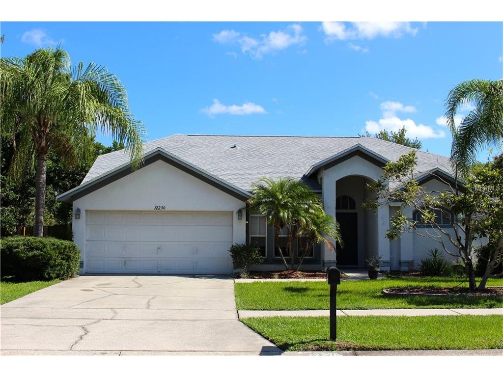 12230 Shady Forest Dr, Riverview, FL 33569 photo 1