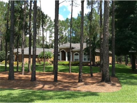 417 Pine Bluff Dr, Lutz, FL 33549 photo 1