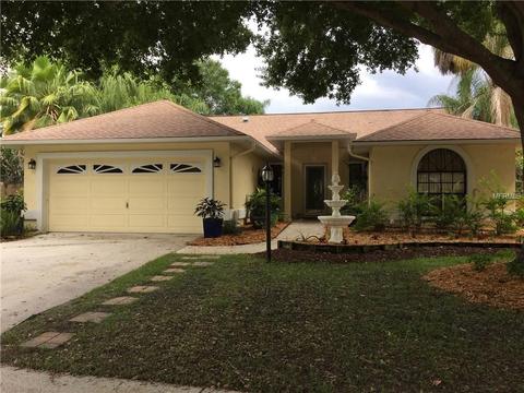 10216 Evening Trail Dr, Riverview, FL 33569 photo 1