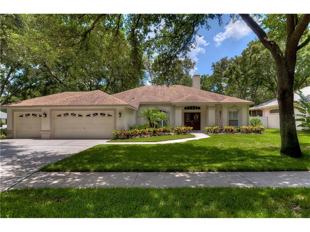 2251 Eagle Bluff Dr, Valrico, FL 33596 photo 1