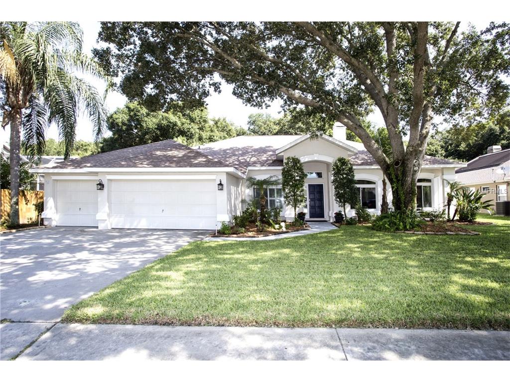 2209 Eagle Bluff Dr, Valrico, FL 33596 photo 1