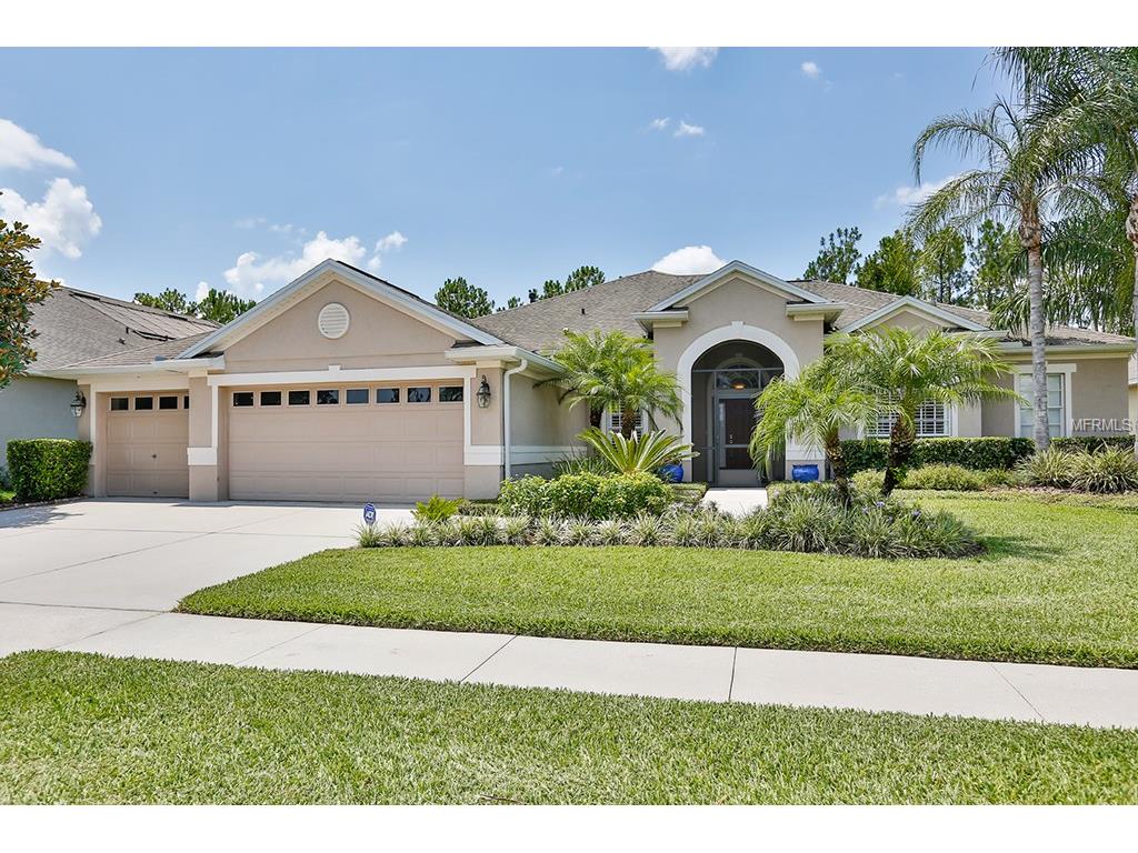11739 Newberry Grove Loop, Riverview, FL 33579 photo 1