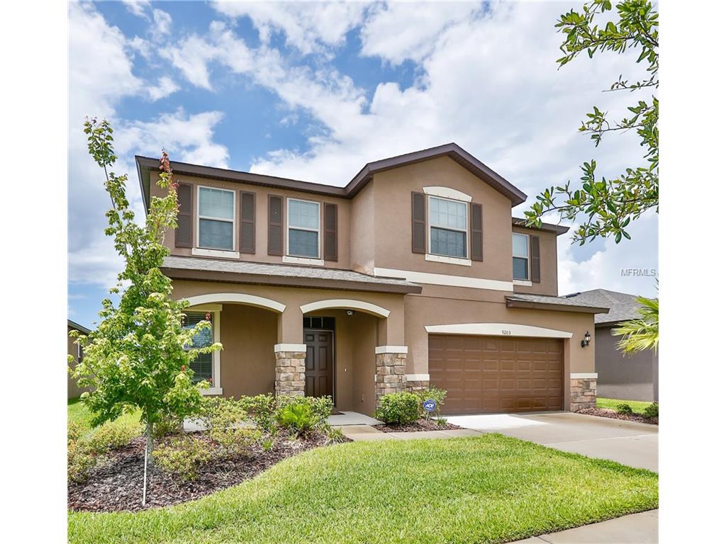 9203 Mountain Magnolia Dr, Riverview, FL 33578 photo 1