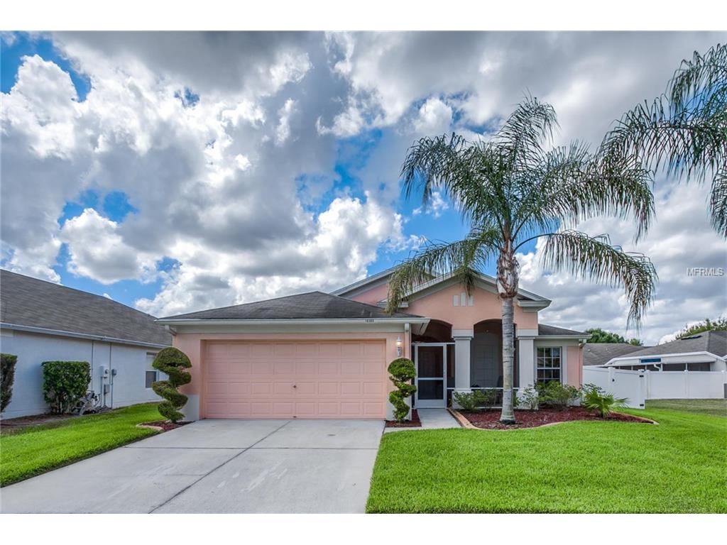 10305 Soaring Eagle Dr, Riverview, FL 33578 photo 1