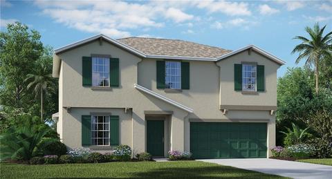 10028 Crested Fringe Dr, Riverview, FL 33578 photo 1