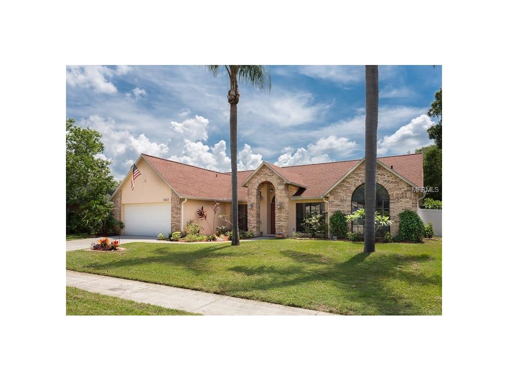 7407 Mint Julep Dr, Riverview, FL 33578 photo 1