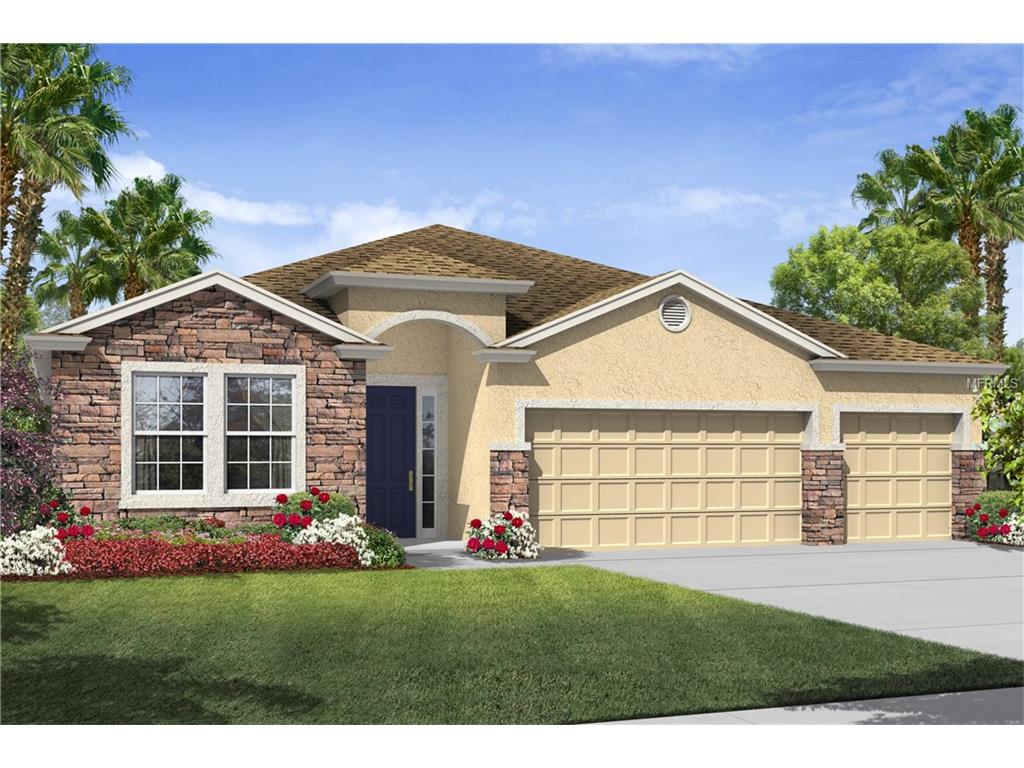 15231 Trinity Fall Way, Bradenton, FL 34212 photo 1